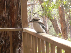 The Ledge Holiday House, Halls Gap